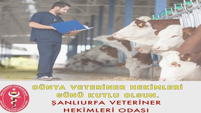 Şanlıurfa Veteriner Hekimleri Odası Başkanı Abdullah Açıkgöz `den Dünya Veteriner Hekimler Günü Mesajı