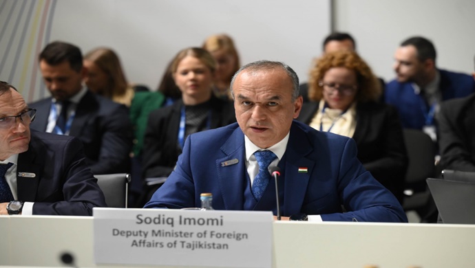 Participation of the Deputy Minister of Foreign Affairs in the 30th OSCE Ministerial Council